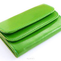 Elegancki portfel damski z biglem, skórzany PD-022 BV Green