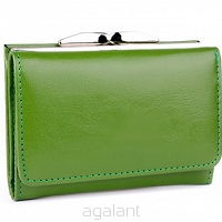 Elegancki portfel damski z biglem, skórzany PD-006B Zielony