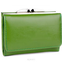 Elegancki portfel damski z biglem, skórzany PD-006B Zielony